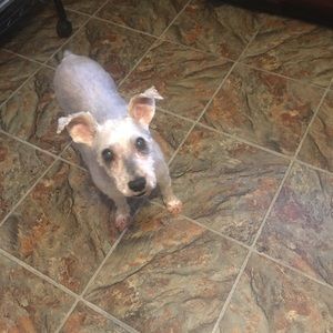 Meet your Posher, Carla